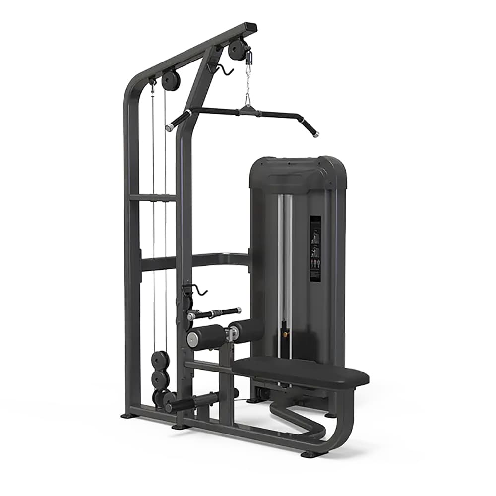 Dual Back pull