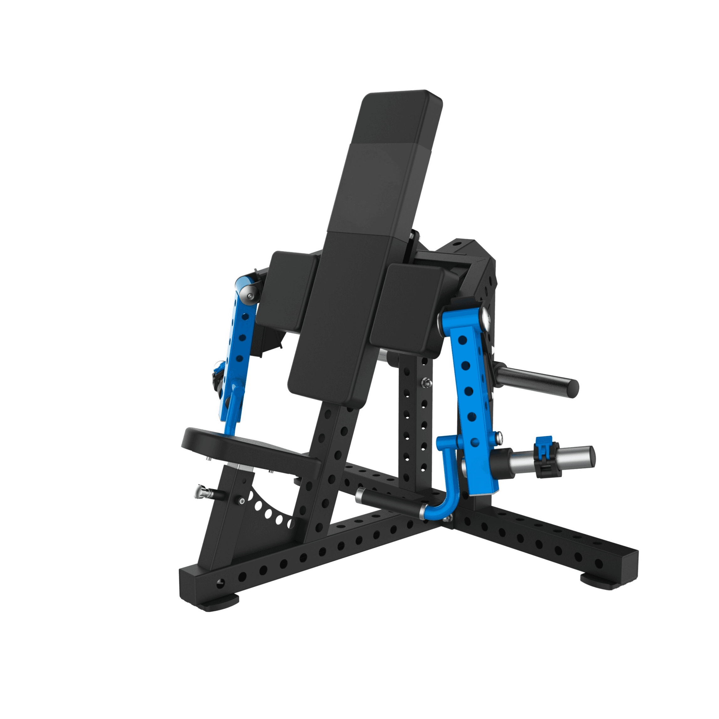 Seated Biceps curl