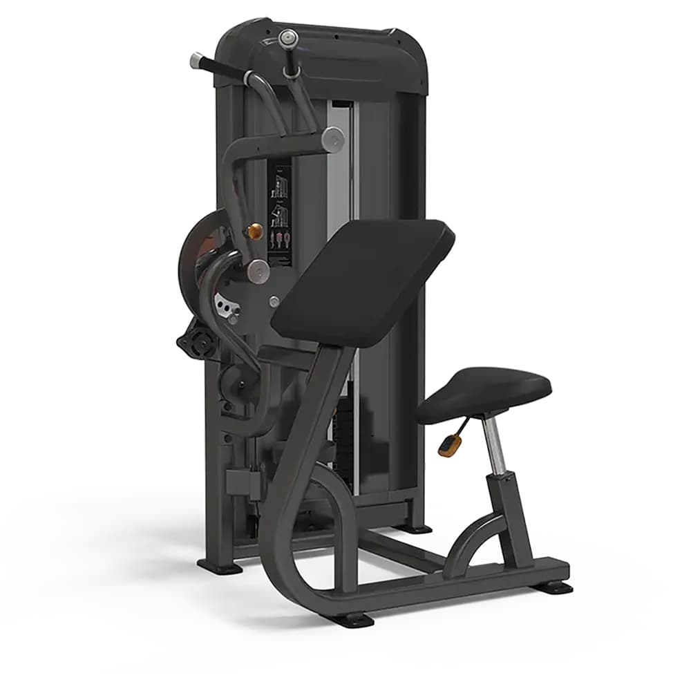 Seated Biceps/Triceps